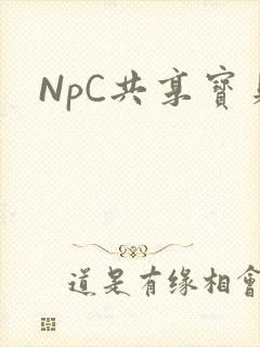 NpC共享宝贝