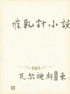 催乳针小说