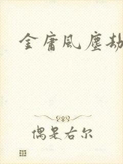 金庸风尘劫