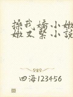 搡我娇小嫩苞又嫩又紧小说封面