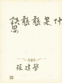 铁憨憨是什么意思封面