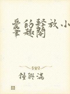 爱的释放小说 笔趣阁