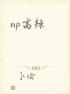 np高辣封面