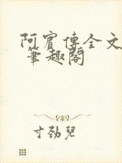 阿宾传全文阅读 笔趣阁