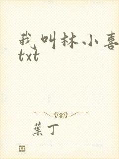 我叫林小喜小说txt