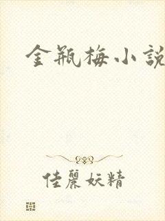 金瓶梅小说在线