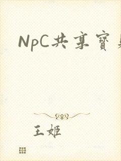 NpC共享宝贝