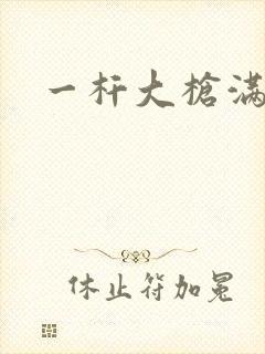 一杆大枪满屋扫封面