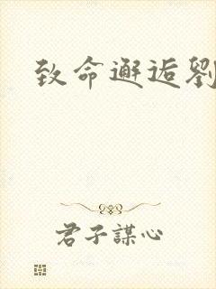 致命邂逅刘小寐