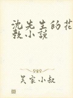 沈先生的花式管教小说