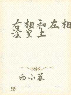 右相和左相一起淦皇上