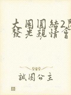 大团圆结2闪闪发光亲情会封面