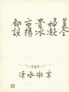 都市贵妇美腿小说杨冰凝全文阅读