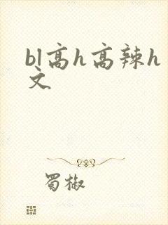 bl高h高辣h文