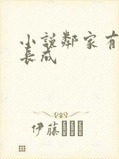 小说邻家有女初长成