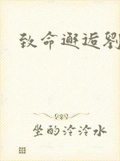 致命邂逅刘小寐