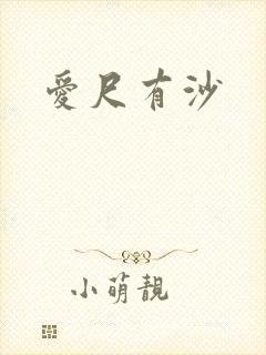 爱尺有沙封面