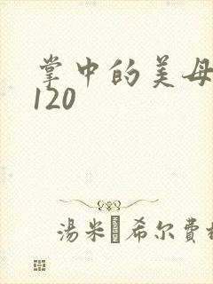 掌中的美母版主120