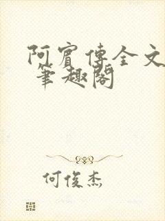 阿宾传全文阅读 笔趣阁封面