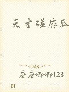 天才碰麻瓜封面