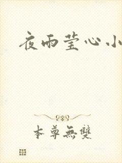 夜雨莹心小说