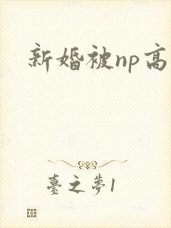 新婚被np高h封面