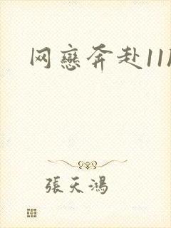 网恋奔赴11h封面