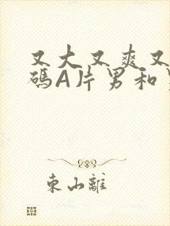 又大又爽又黄无码A片男和男