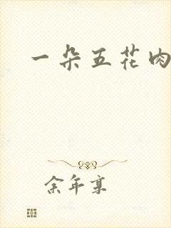 一朵五花肉封面