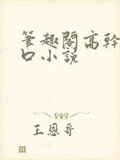 笔趣阁高干文入口小说