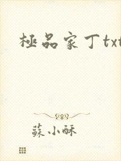 极品家丁txt