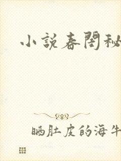 小说春闺秘史