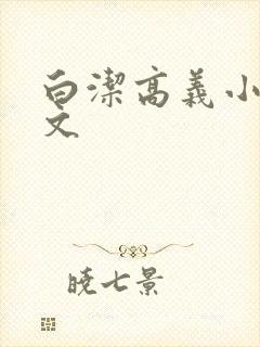 白洁高义小说全文