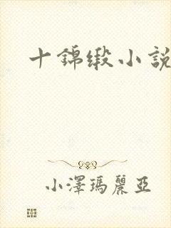 十锦缎小说