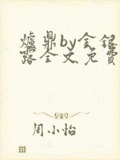 炉鼎by金银花露全文免费阅读笔趣阁
