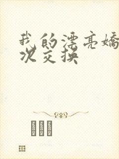 我的漂亮娇妻初次交换