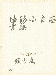 他的小月亮by青藤封面