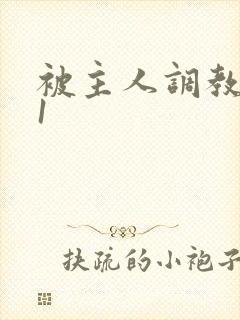 被主人调教1v1