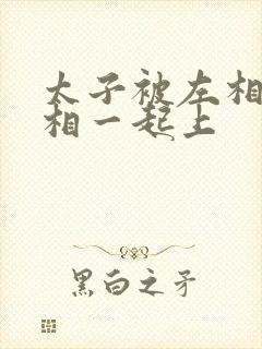 太子被左相和右相一起上