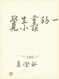 学生会的一己之见小说封面