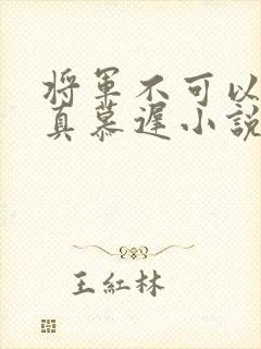 将军不可以魏云真慕迟小说笔趣阁