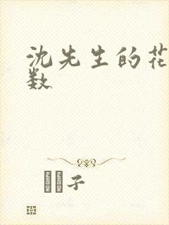 沈先生的花式调数