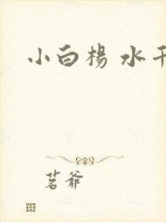 小白杨 水千丞
