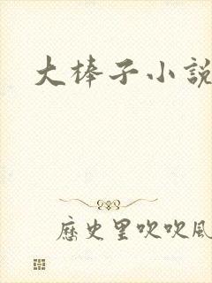 大棒子小说封面