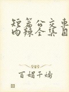 短篇公交车高h肉辣全集目录封面