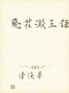 飞花溅玉录封面