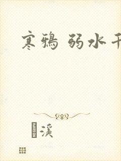 寒鸦 弱水千流