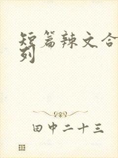 短篇辣文合集系列