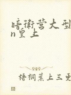 暗卫营大型hpn皇上封面