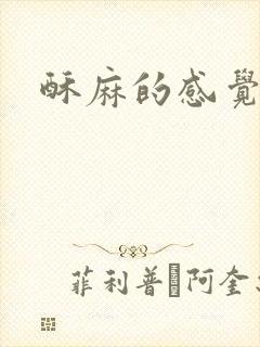 酥麻的感觉小说